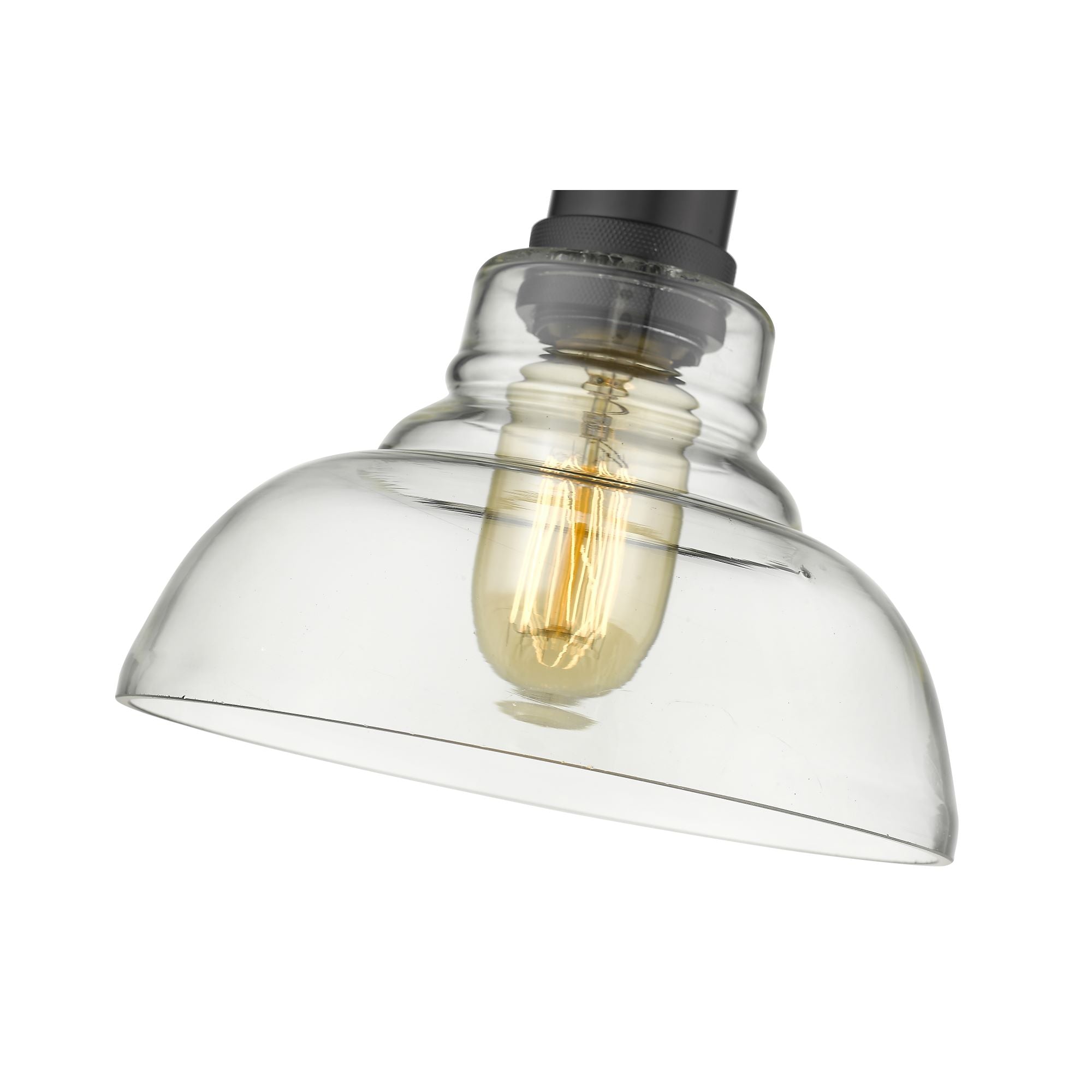 Yep by Golden Lighting Carver 1-light Pendant in Matte Black and Clear Glass - - Golden Lighting