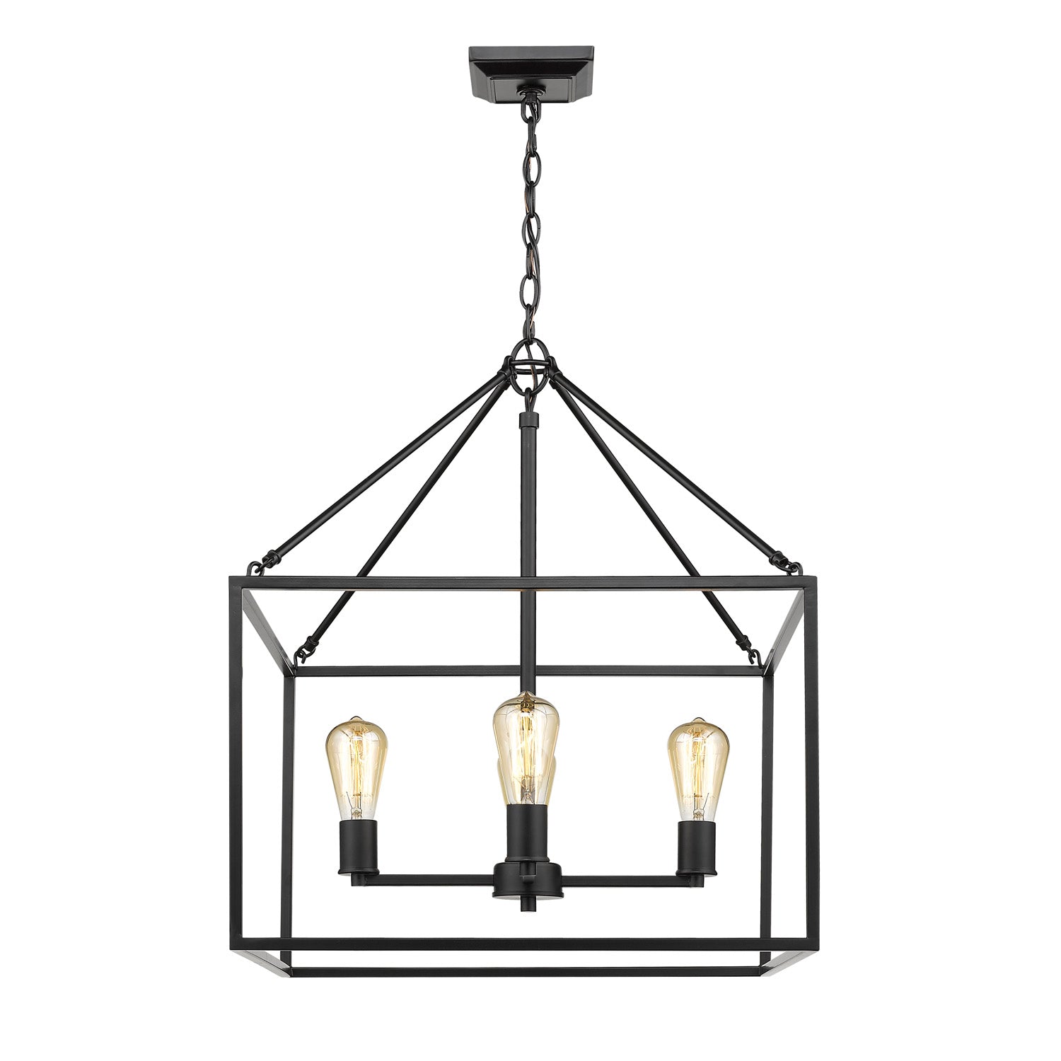 Golden Lighting Wesson 4-light Chandelier in Matte Black - - Golden Lighting