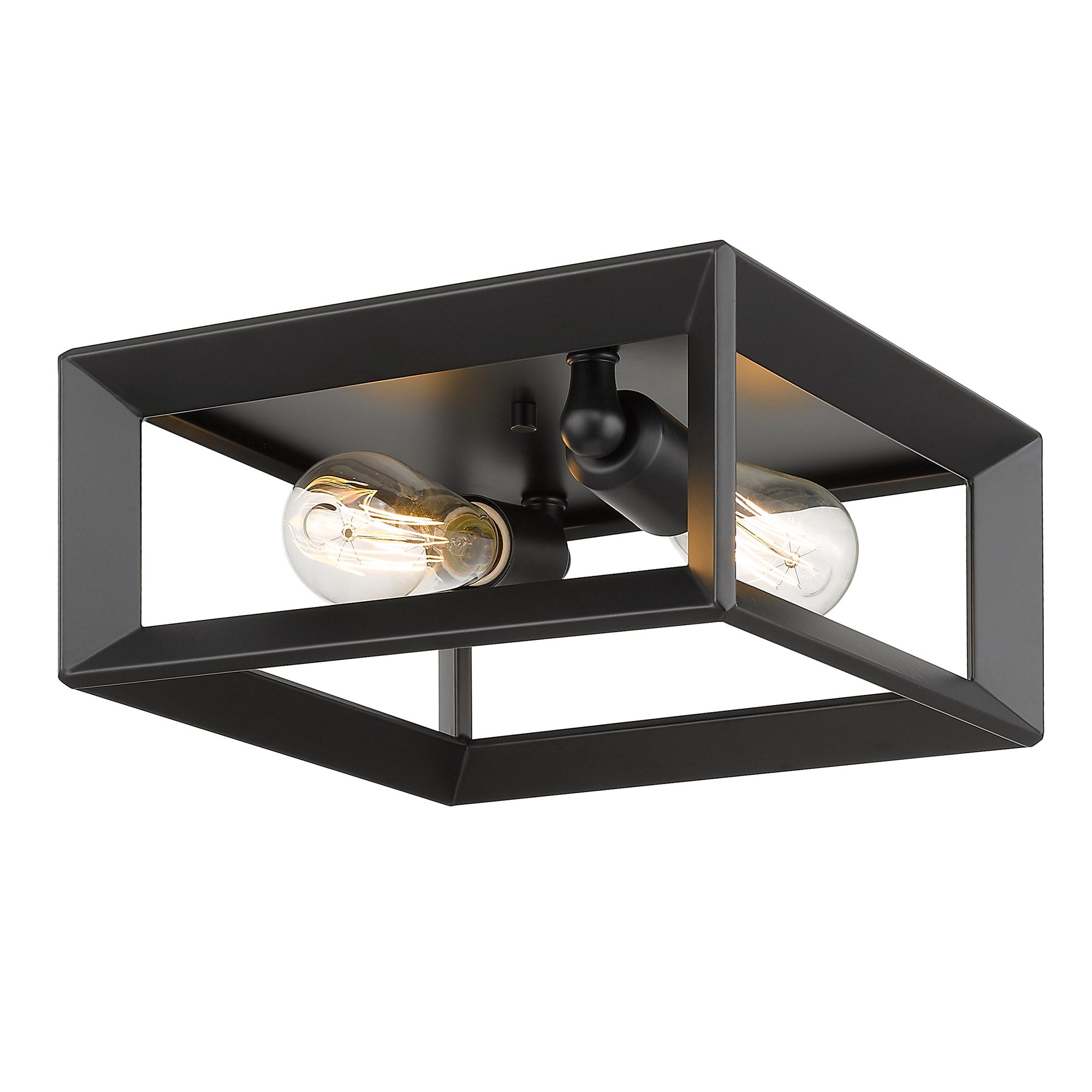 Golden Lighting Smyth 2-light Flush Mount in Matte Black - - Golden Lighting