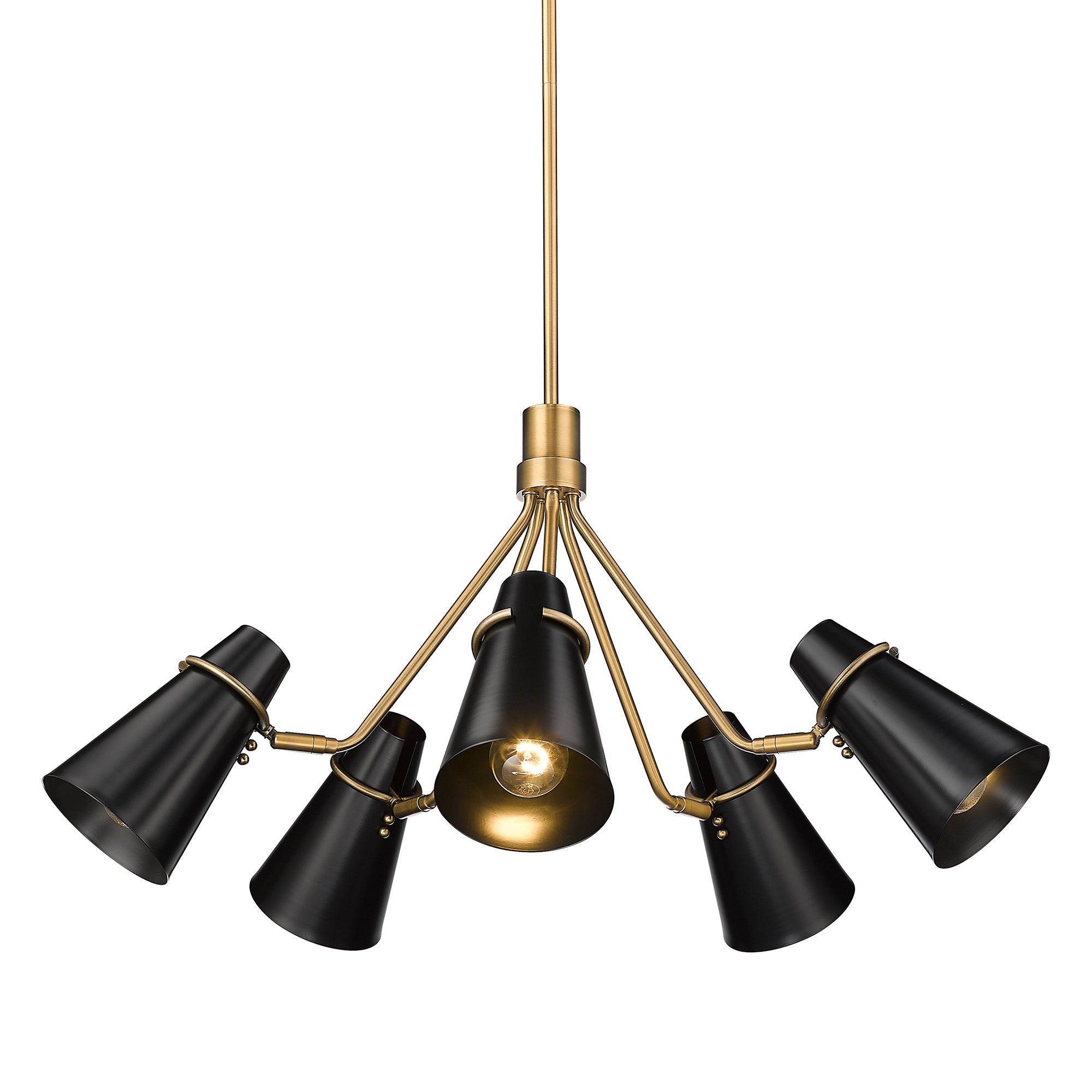 Golden Lighting Reeva 5-light Chandelier in Modern Brass and Matte Black shade - - Golden Lighting