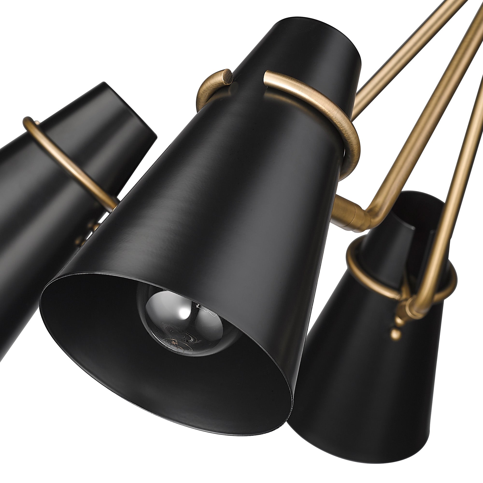 Golden Lighting Reeva 5-light Chandelier in Modern Brass and Matte Black shade - - Golden Lighting