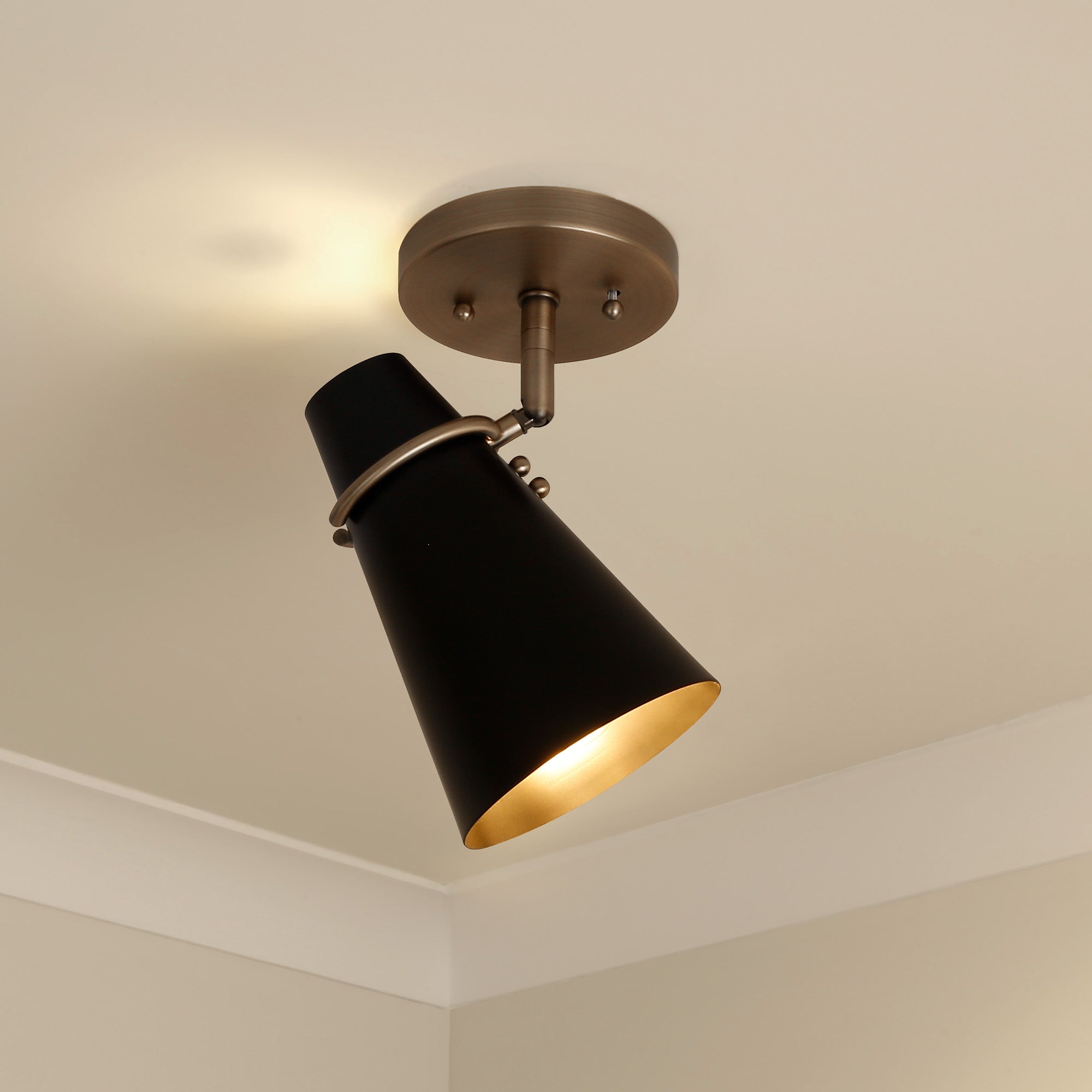 Golden Lighting Reeva 1-light Semi-Flush Mount in Modern Brass and Matte Black shade