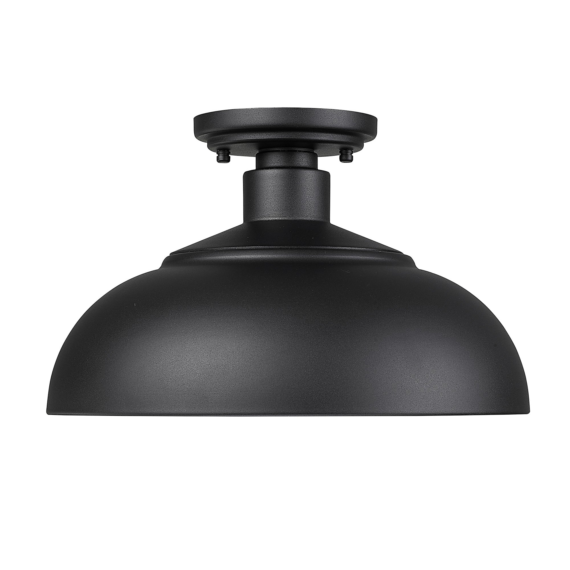 Yep by Golden Lighting Levitt 1-light Outdoor Ceiling in Natural Black and Natural Black shade - - Golden Lighting