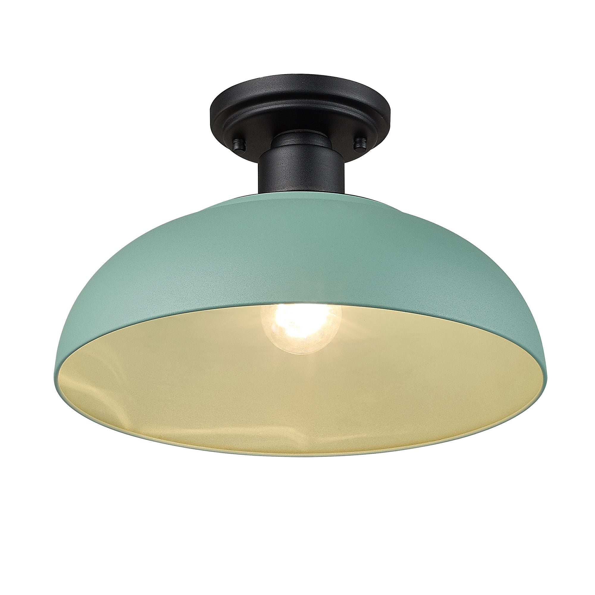 Yep by Golden Lighting Levitt 1-light Outdoor Ceiling in Natural Black and Natural Teal shade