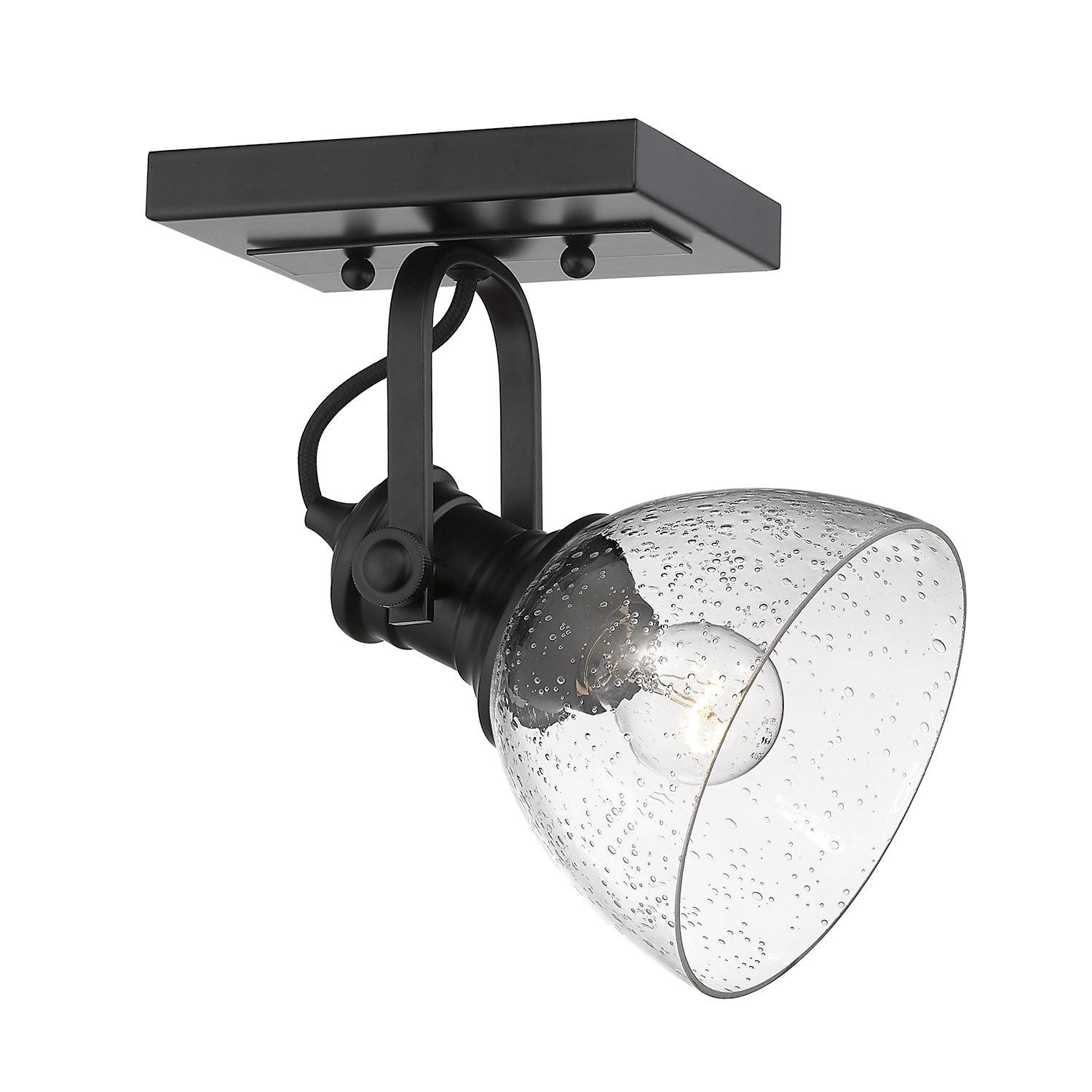 Yep by Golden Lighting Hines 1-light Adjustable Semi-Flush Mount in Matte Black and Seeded Glass - Default Title - Golden Lighting