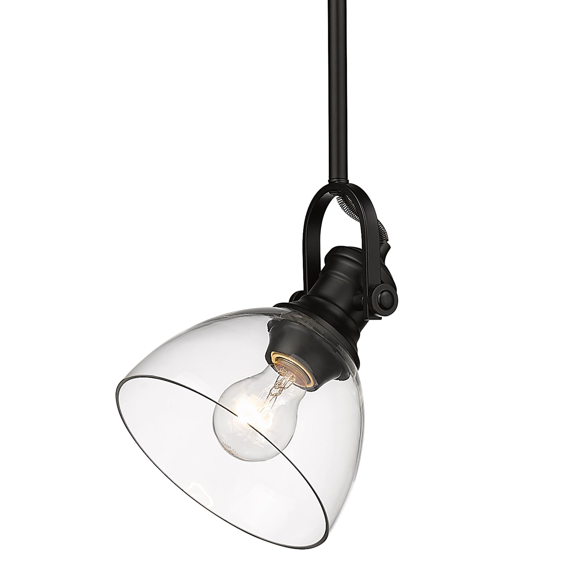 Yep by Golden Lighting Hines 1-light 7in Pendant in Matte Black and Clear Glass - - Golden Lighting