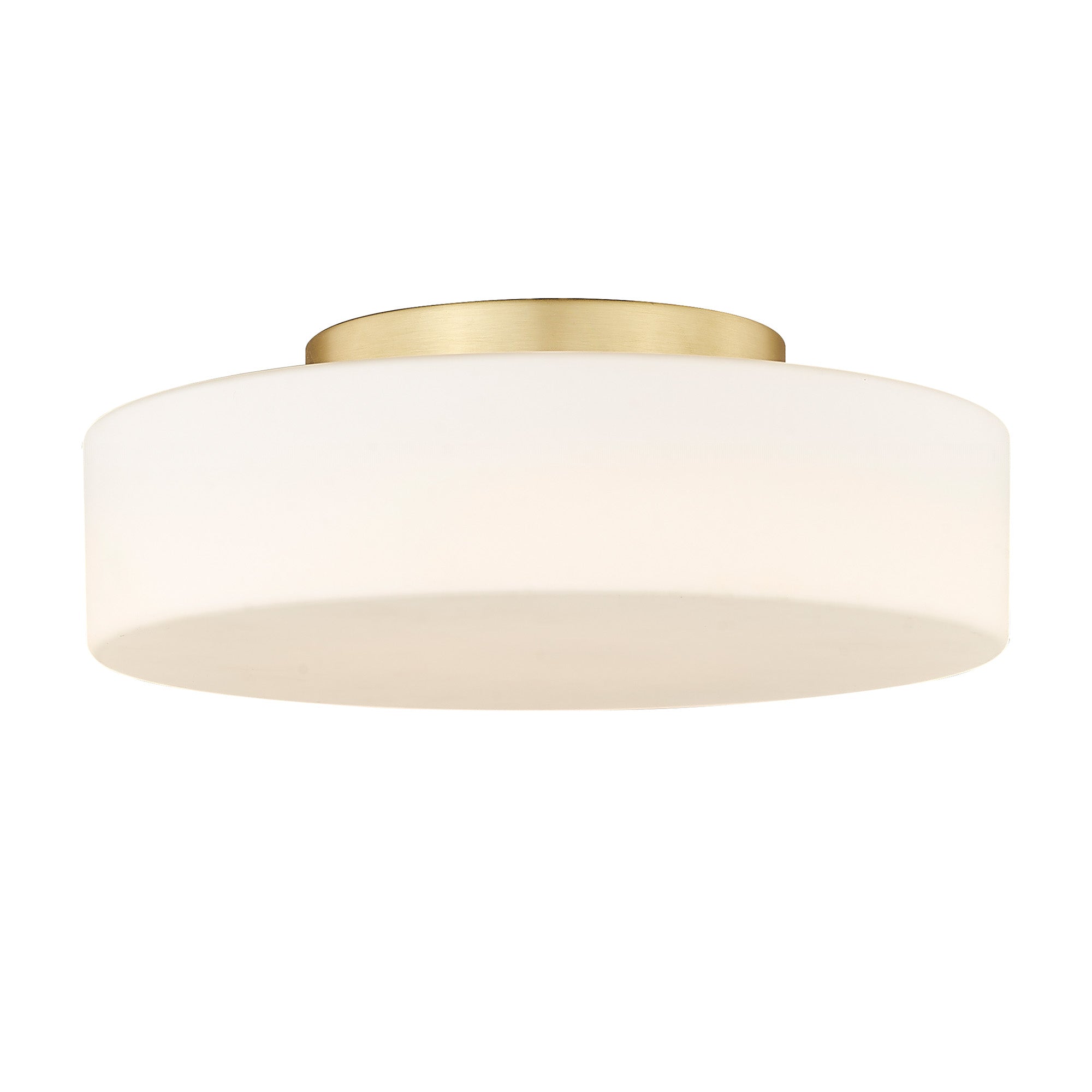 Toli Integrated LED Flush Mount in Brushed Champagne Brass
