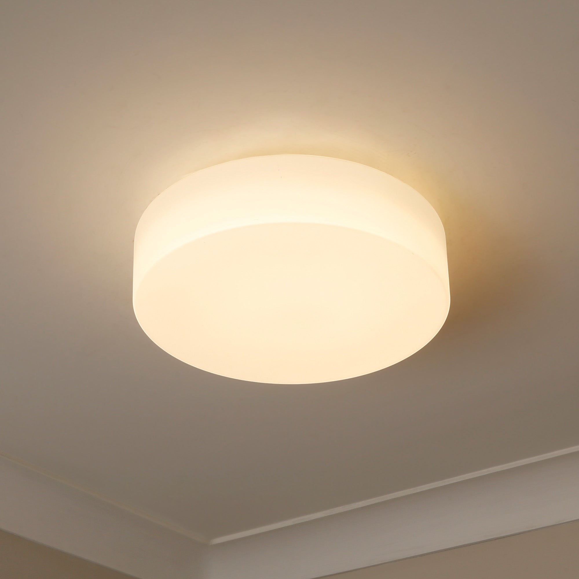 Toli Integrated LED Flush Mount in Brushed Champagne Brass