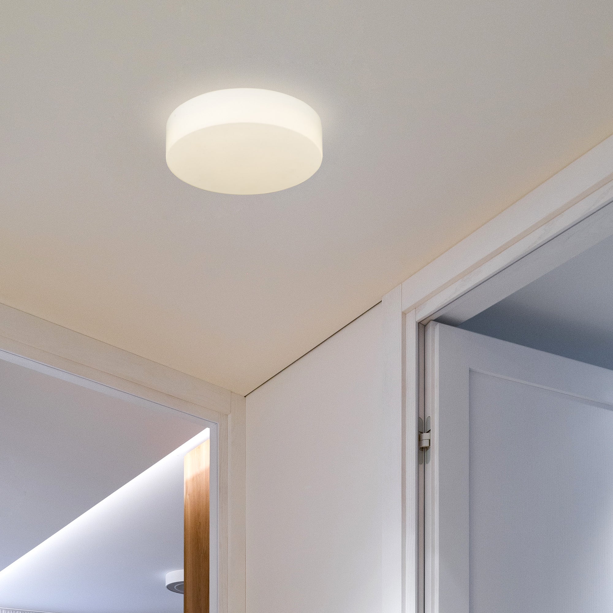 Toli BLK Flush Mount in Matte Black with Opal Glass Shade - Default Title - Golden Lighting
