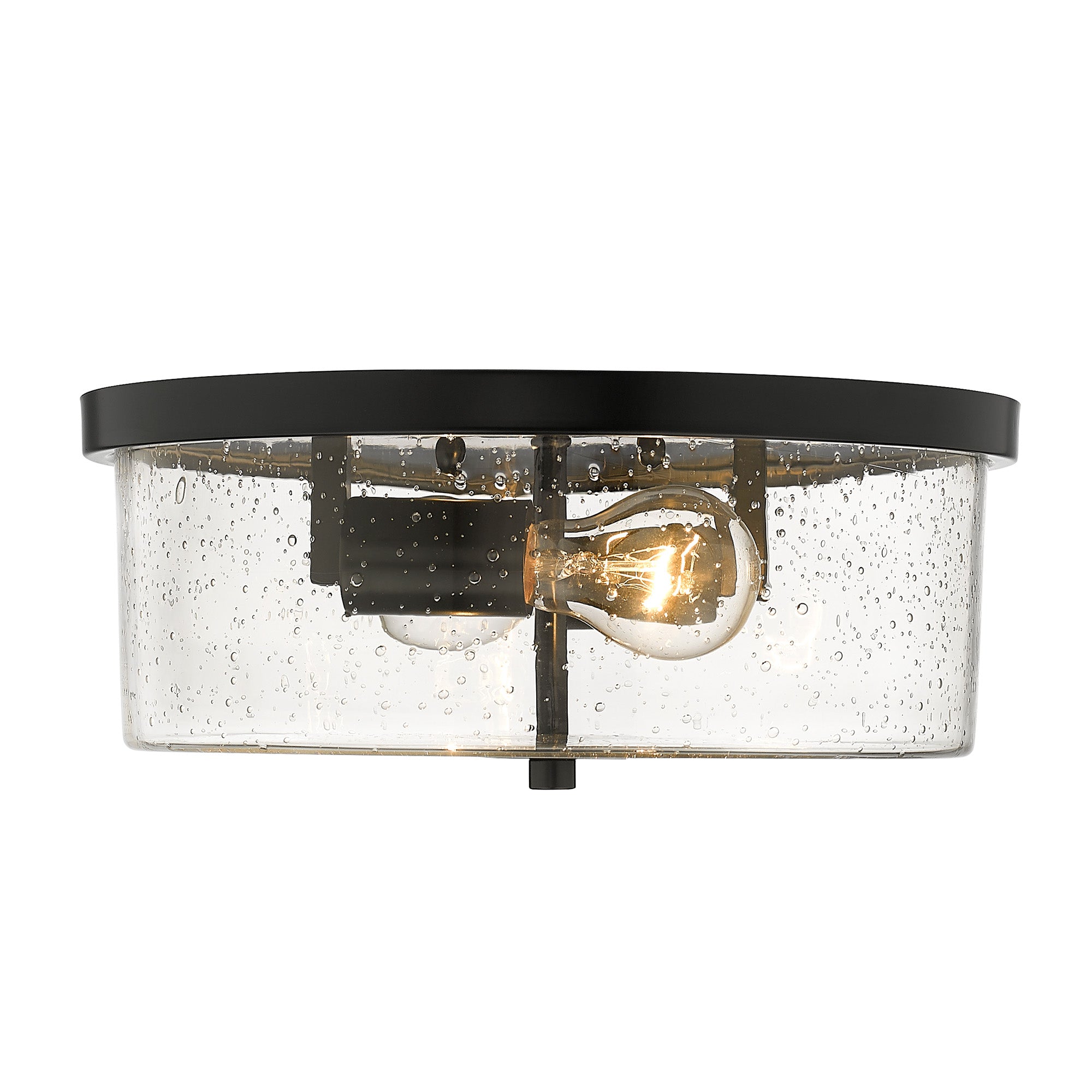 Rayne 2-light Flush Mount in Matte Black