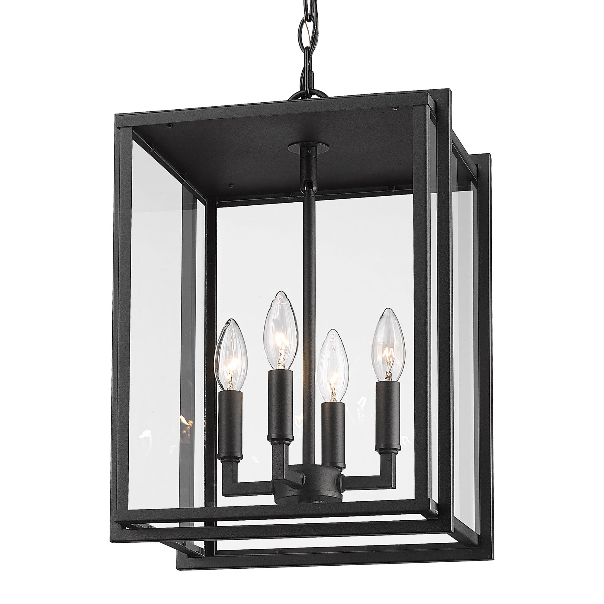 Golden Lighting Tribeca 4-light Outdoor Pendant in Natural Black - - Golden Lighting