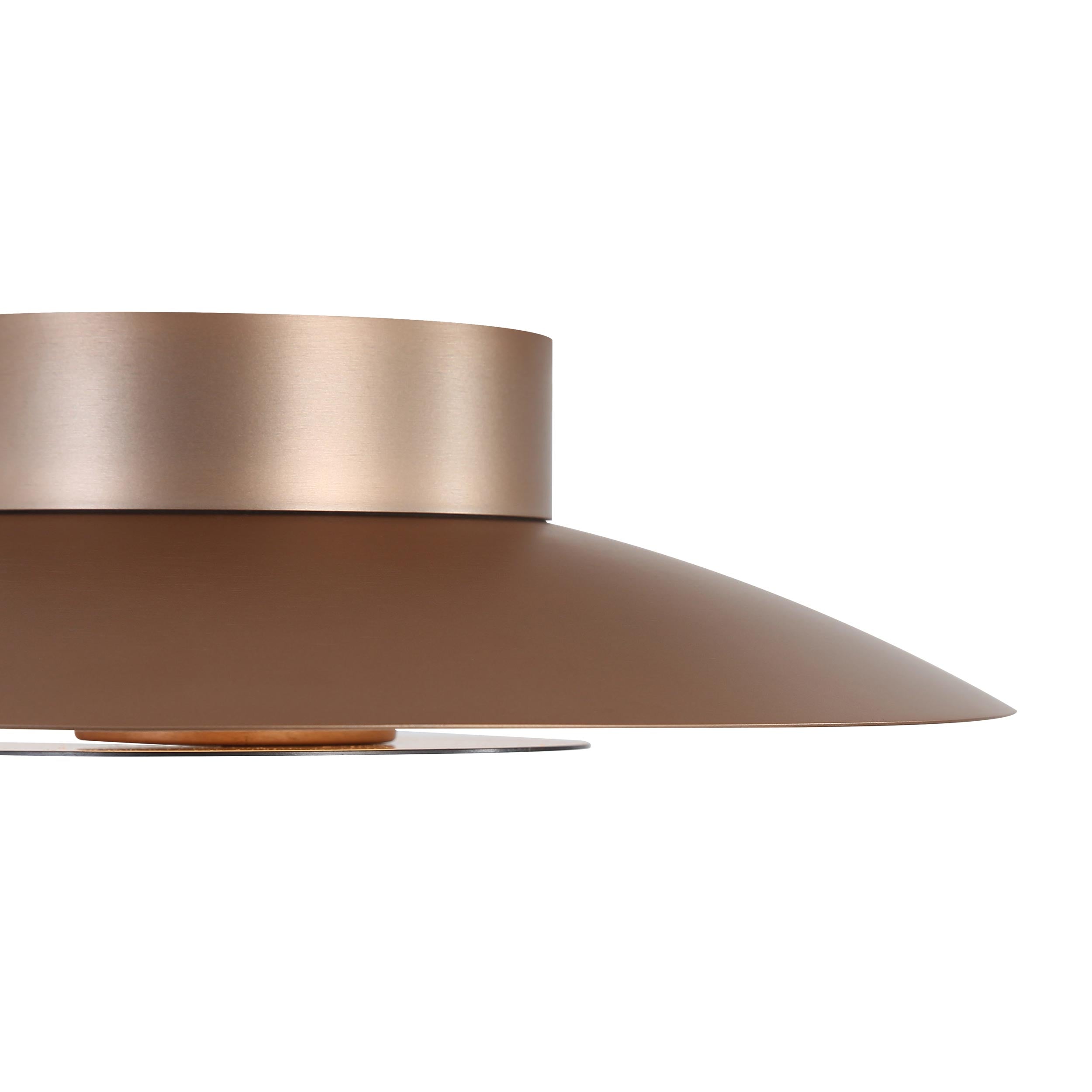 Yep by Golden Lighting Luma Integrated LED Flush Mount in French Gold and Graphite shade - Default Title - Golden Lighting