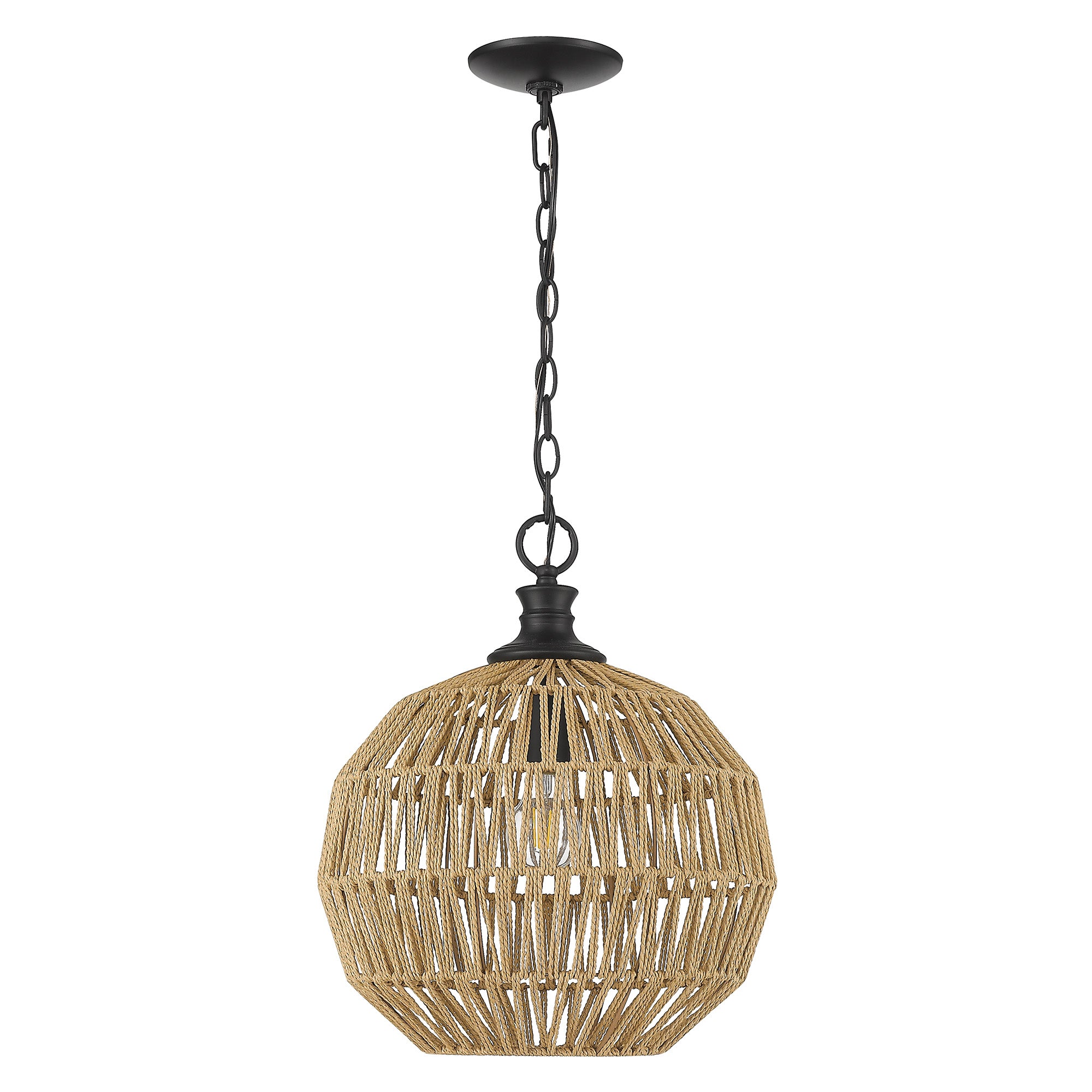 Golden Lighting Florence 1-light Pendant in Matte Black