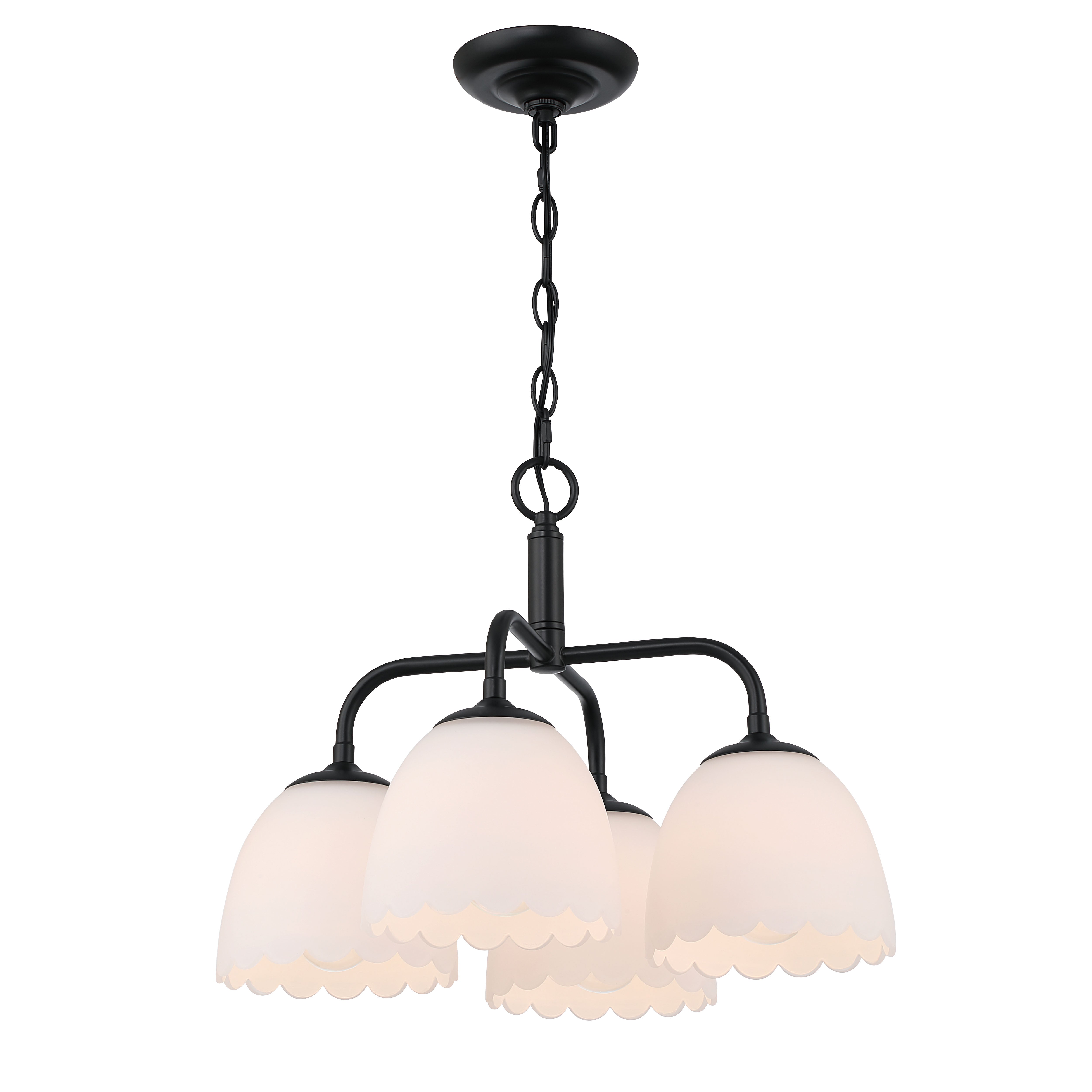 Golden Lighting Dorinda 4-light Pendant in Matte Black - - Golden Lighting