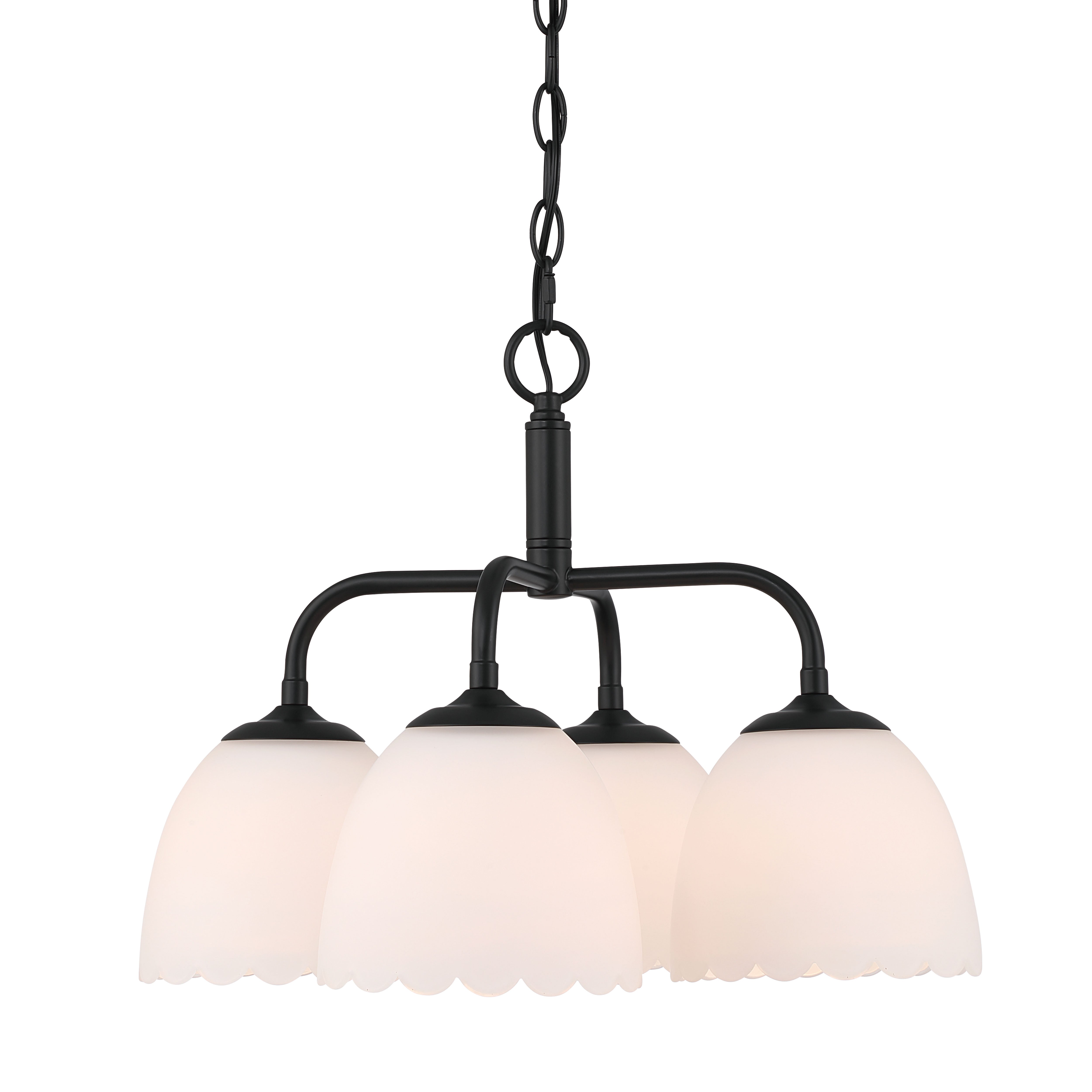 Golden Lighting Dorinda 4-light Pendant in Matte Black