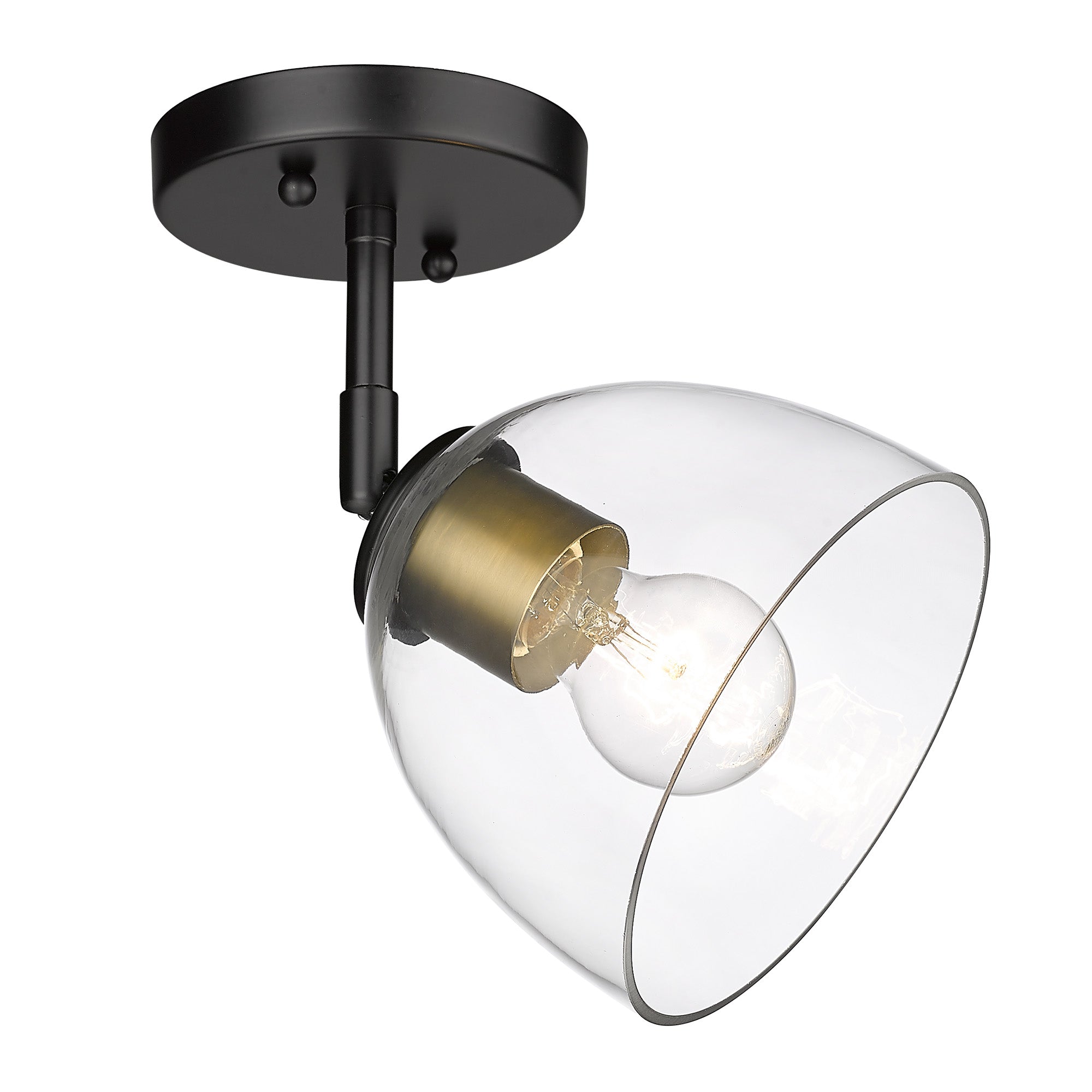Golden Lighting Roxie 1-light Wall Sconce in Matte Black and Brushed Champagne Brass Accents - - Golden Lighting