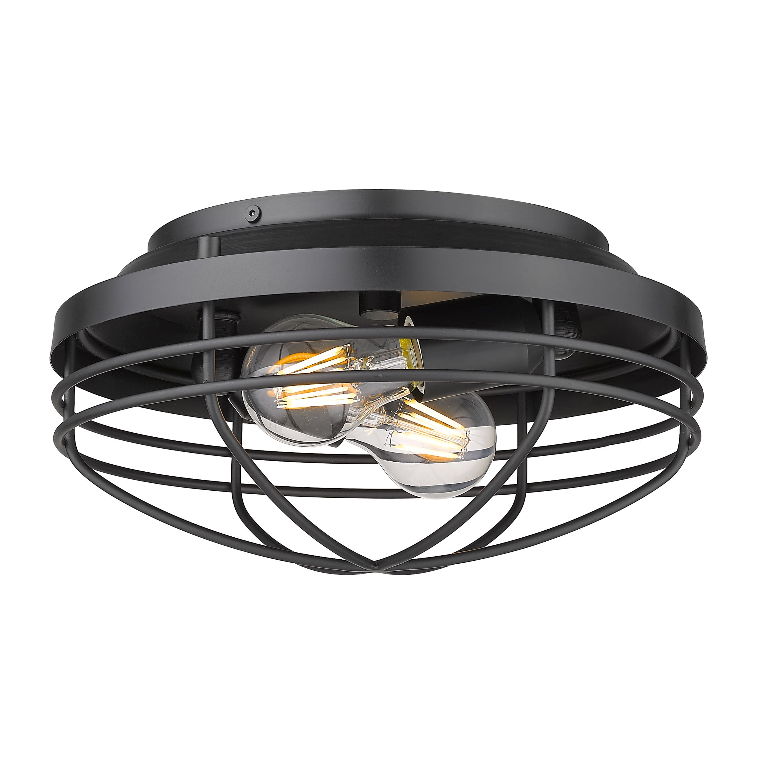 Golden Lighting Seaport 2-light Flush Mount in Matte Black - - Golden Lighting