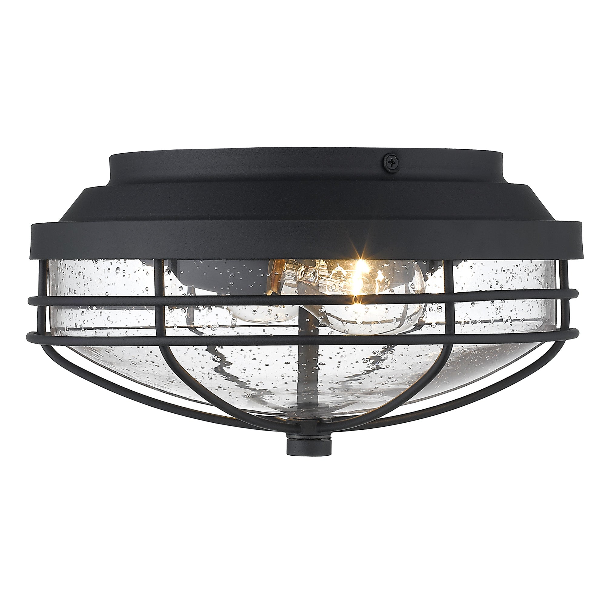 Golden Lighting Seaport 2-light Outdoor Ceiling in Natural Black