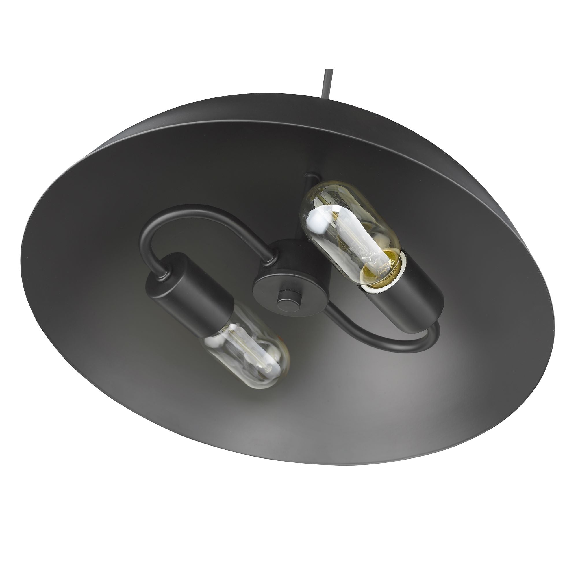 Walker 2-Light Pendant in Matte Black - Matte Black / Matte Black / Black - Golden Lighting