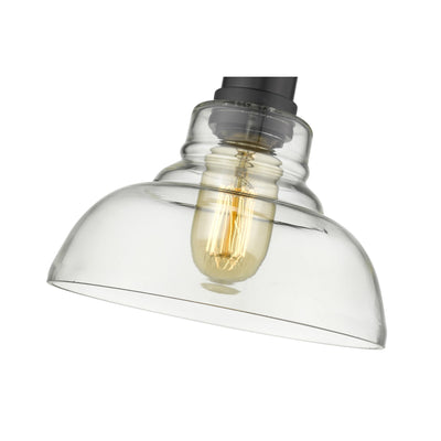 Yep by Golden Lighting Carver 1-light Pendant in Matte Black and Clear Glass - - Golden Lighting