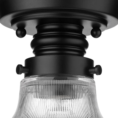 Clary 1-light Flush Mount in Matte Black