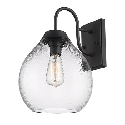Golden Lighting Ariella 1-light Outdoor Wall in Natural Black - - Golden Lighting