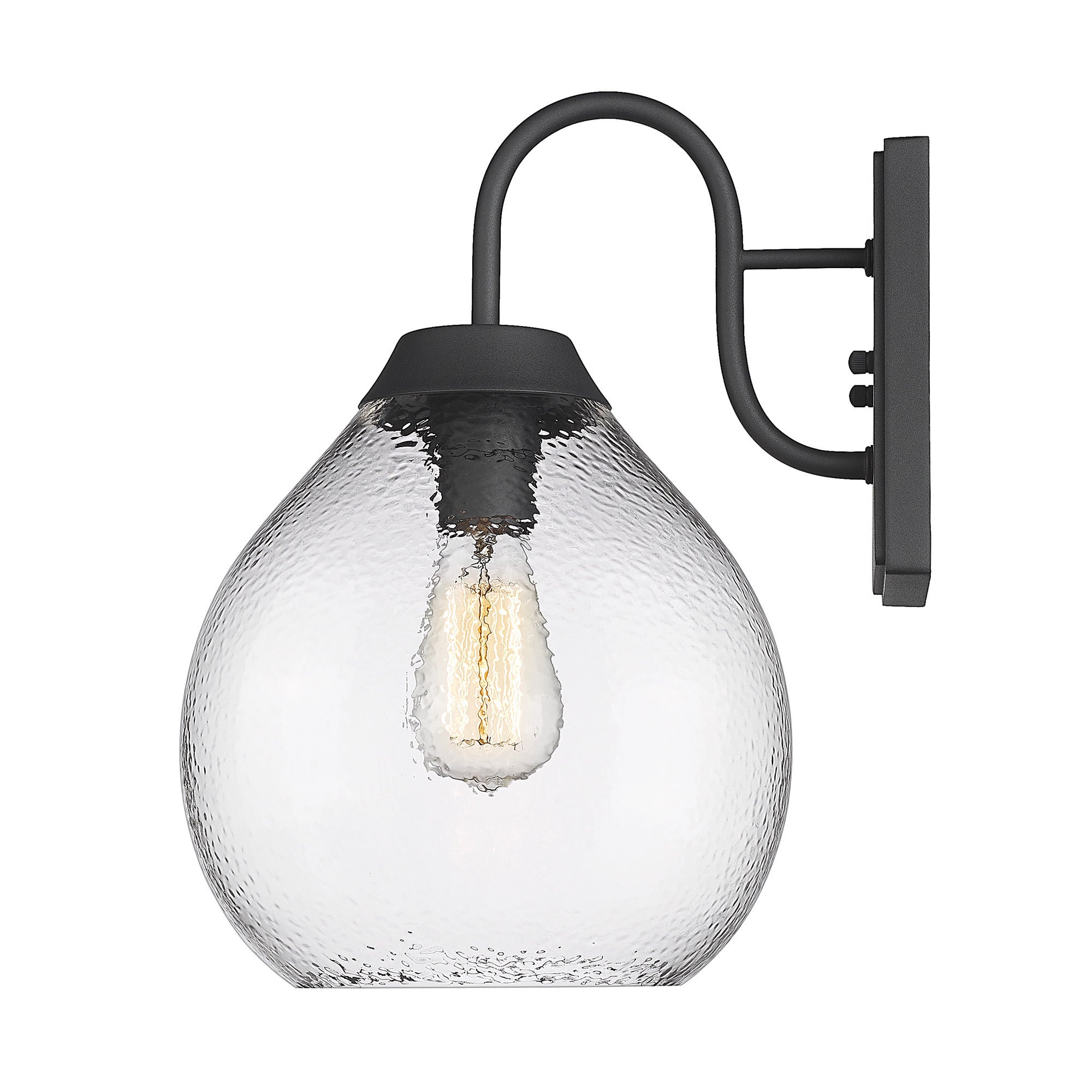 Golden Lighting Ariella 1-light Outdoor Wall in Natural Black - - Golden Lighting