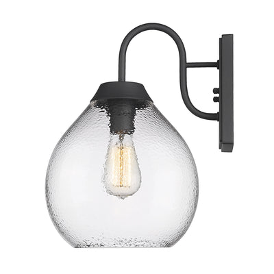 Golden Lighting Ariella 1-light Outdoor Wall in Natural Black - - Golden Lighting