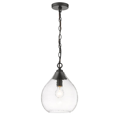 Golden Lighting Ariella 1-light Pendant in Matte Black - - Golden Lighting