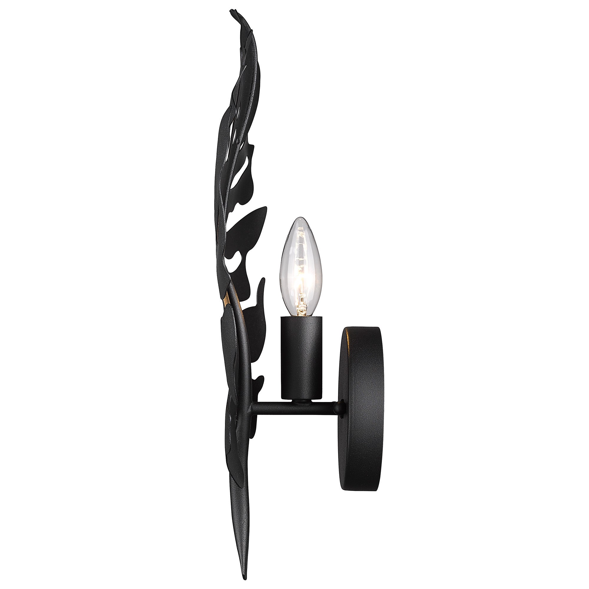 Aruba 1 Light Wall Sconce in Natural Black - Natural Black / No Shade / Black - Golden Lighting