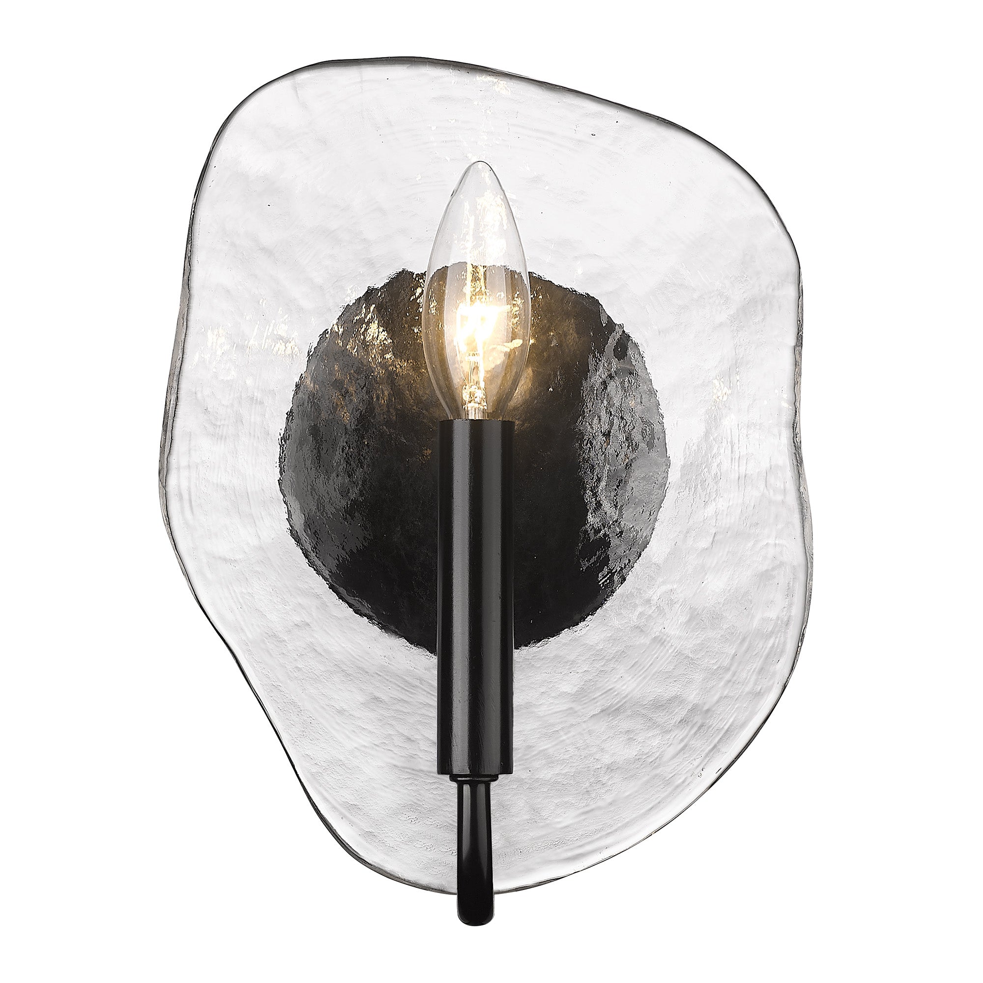 Golden Lighting Samara 1-light Wall Sconce in Matte Black - - Golden Lighting