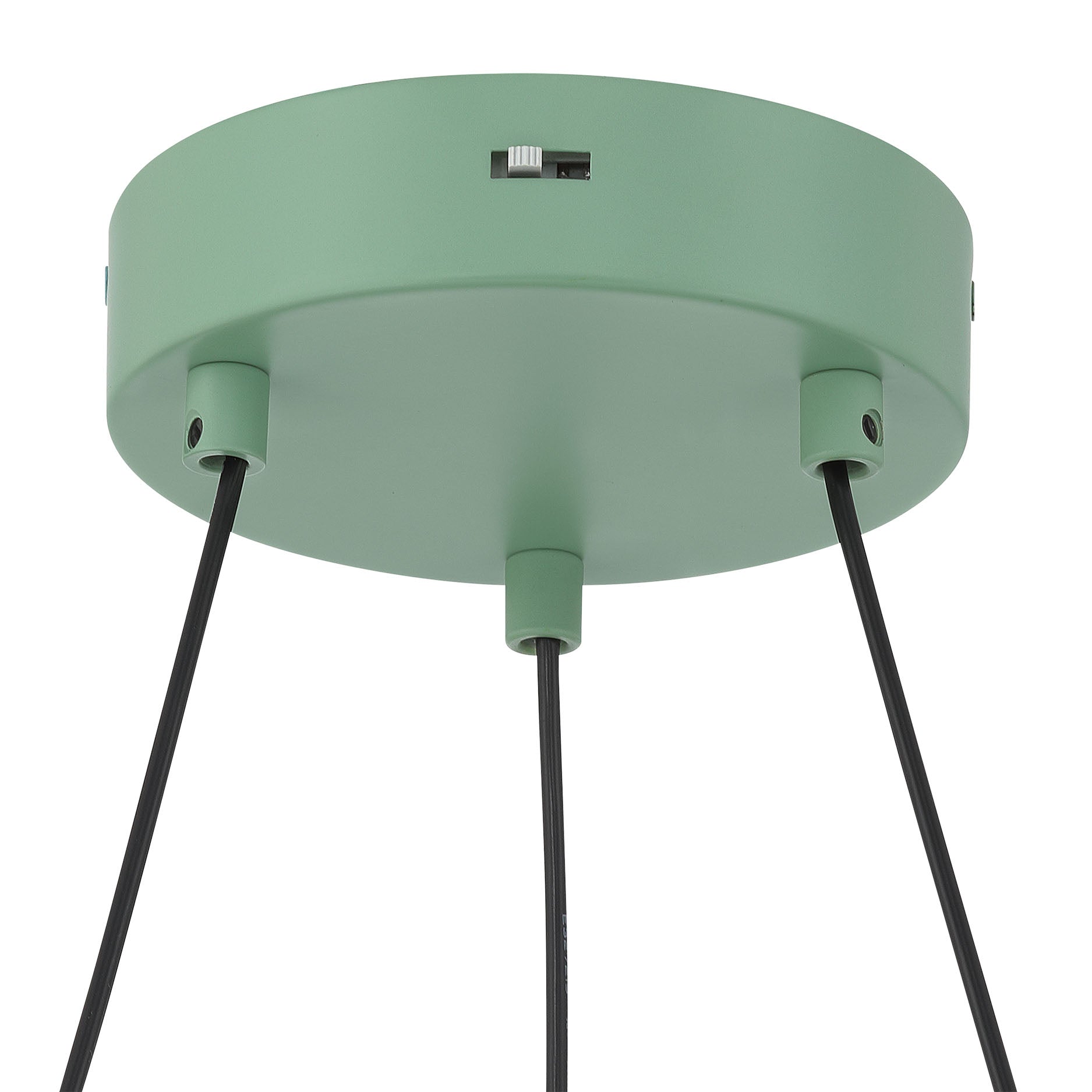 Sashay Integrated LED 20" Pendant in Pistachio