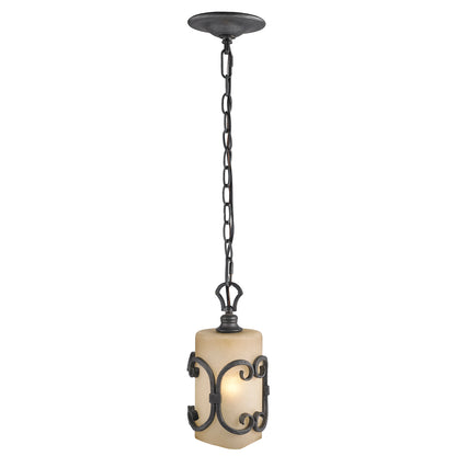 Madera 1-light Pendant in Black Iron