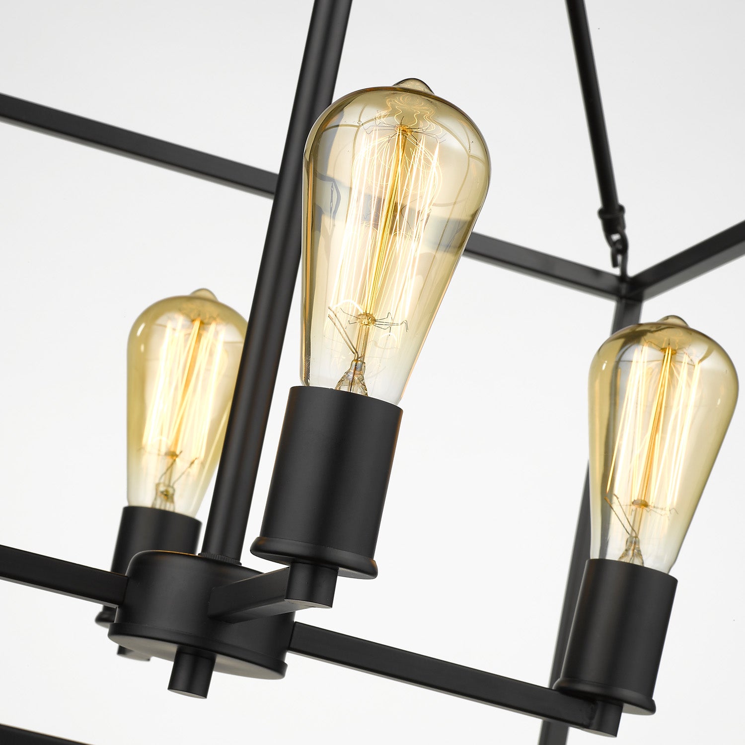 Golden Lighting Wesson 4-light Chandelier in Matte Black - - Golden Lighting
