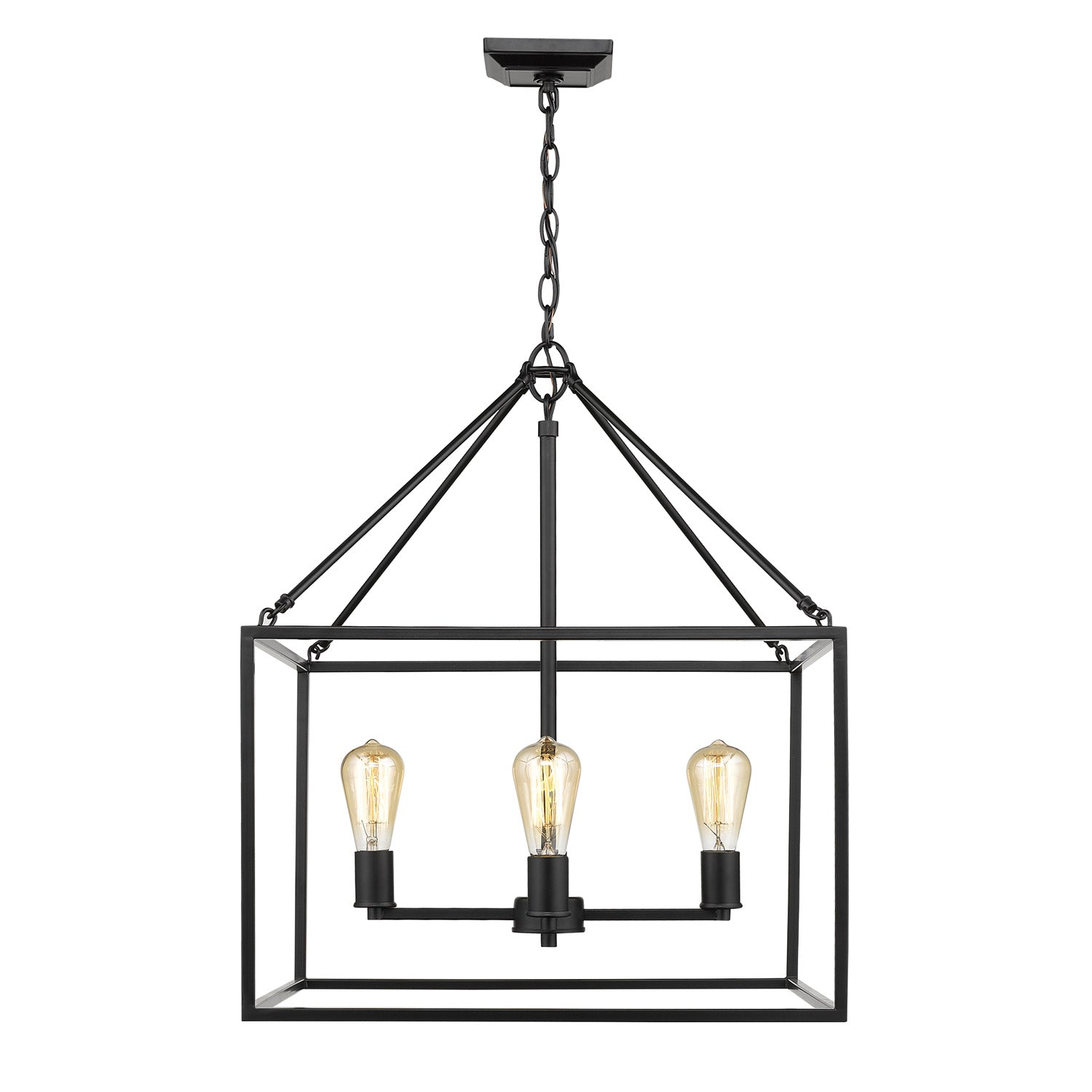 Wesson 4-light chandelier in Black - - Golden Lighting