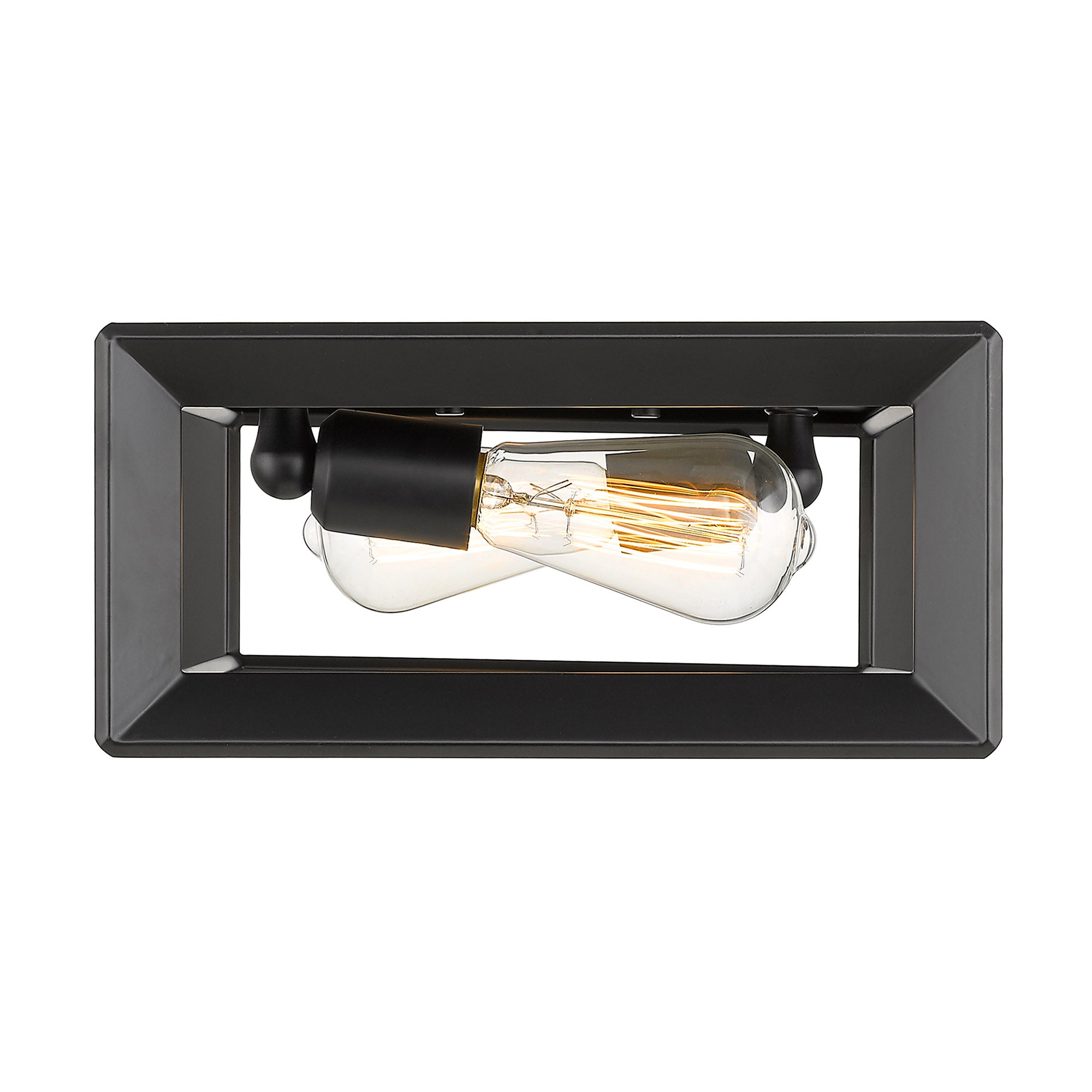 Golden Lighting Smyth 2-light Flush Mount in Matte Black - - Golden Lighting