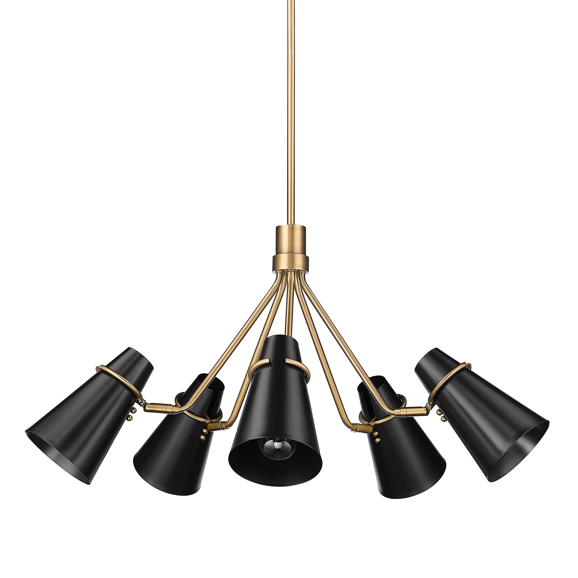 Golden Lighting Reeva 5-light Chandelier in Modern Brass and Matte Black shade - - Golden Lighting