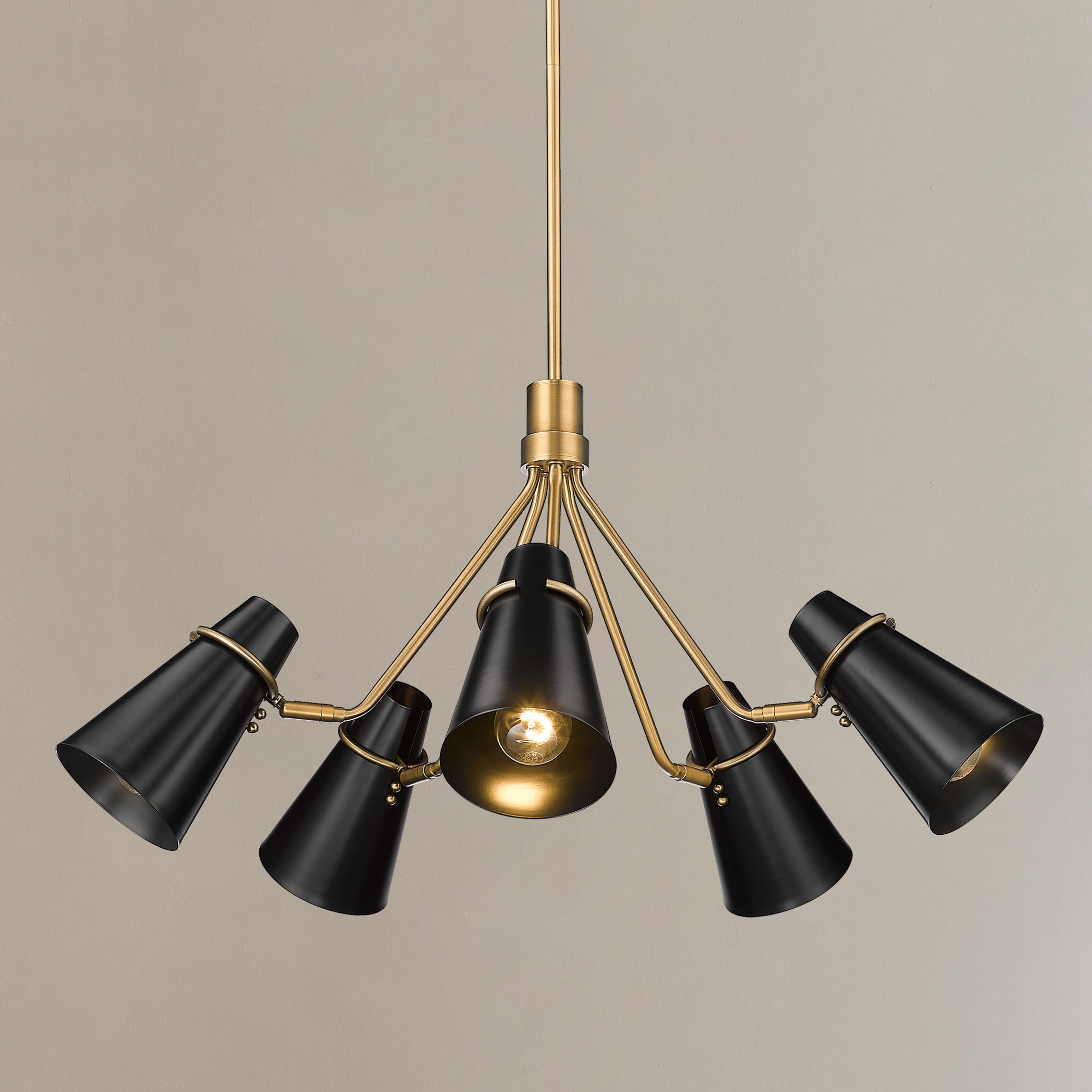 Golden Lighting Reeva 5-light Chandelier in Modern Brass and Matte Black shade - - Golden Lighting