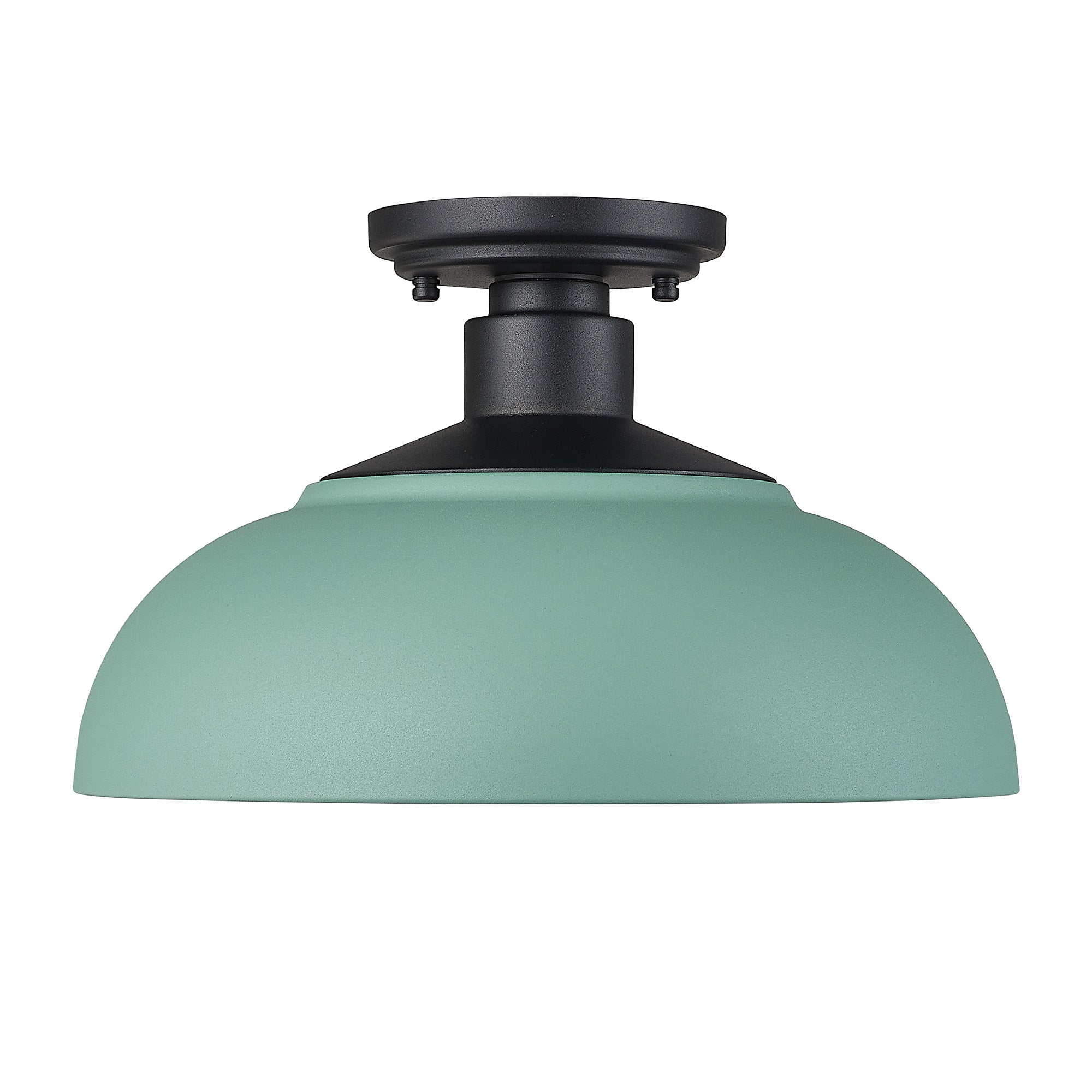 Levitt Semi-Flush - Outdoor in Natural Black with Natural Teal Shade - Default Title - Golden Lighting