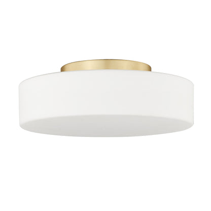 Toli Integrated LED Flush Mount in Brushed Champagne Brass