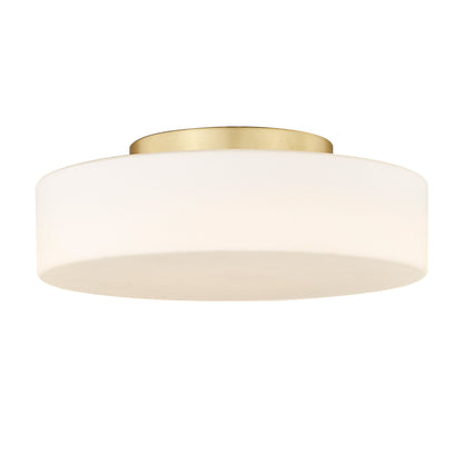 Toli Integrated LED Flush Mount in Brushed Champagne Brass