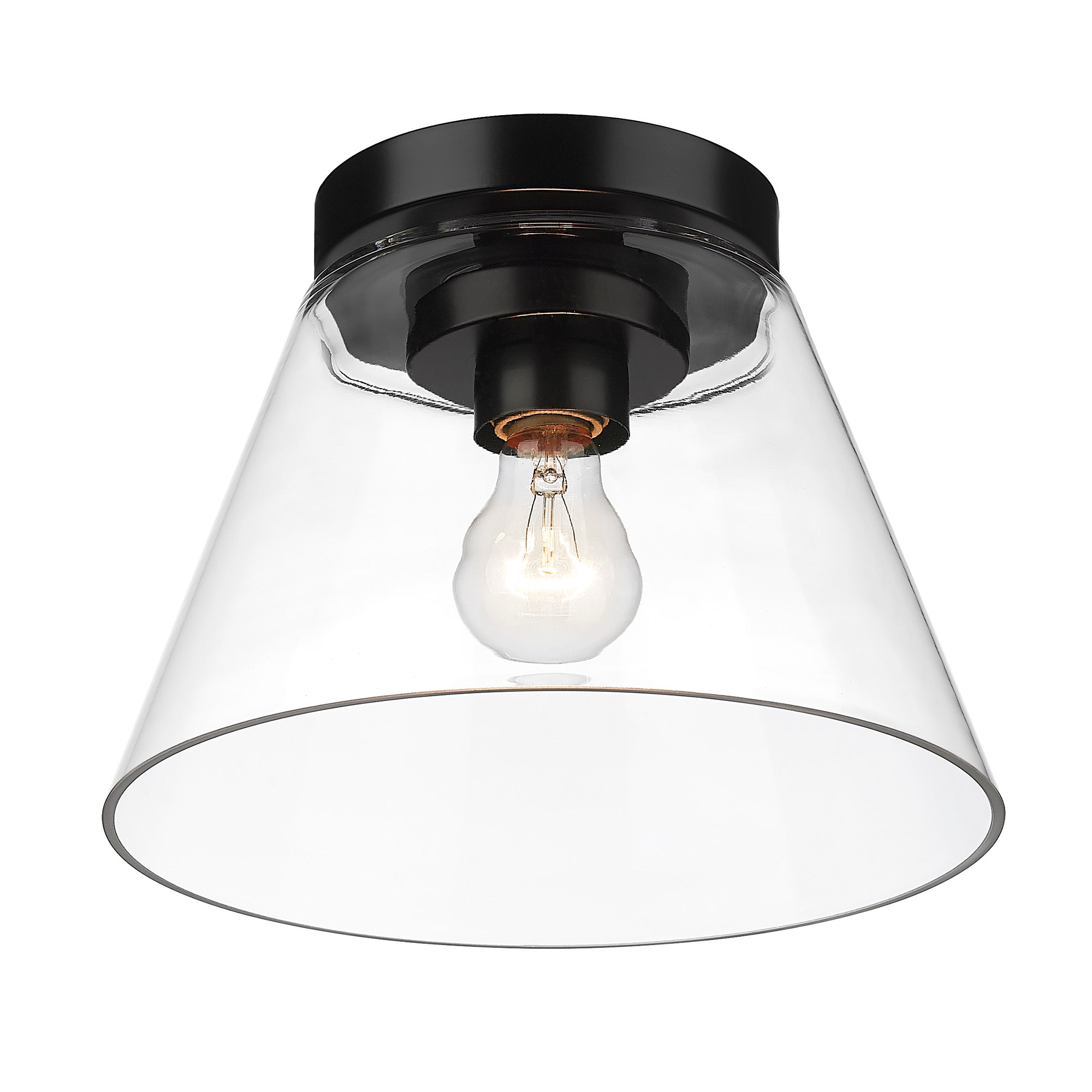 Golden Lighting Penn 1-light Flush Mount in Matte Black - - Golden Lighting