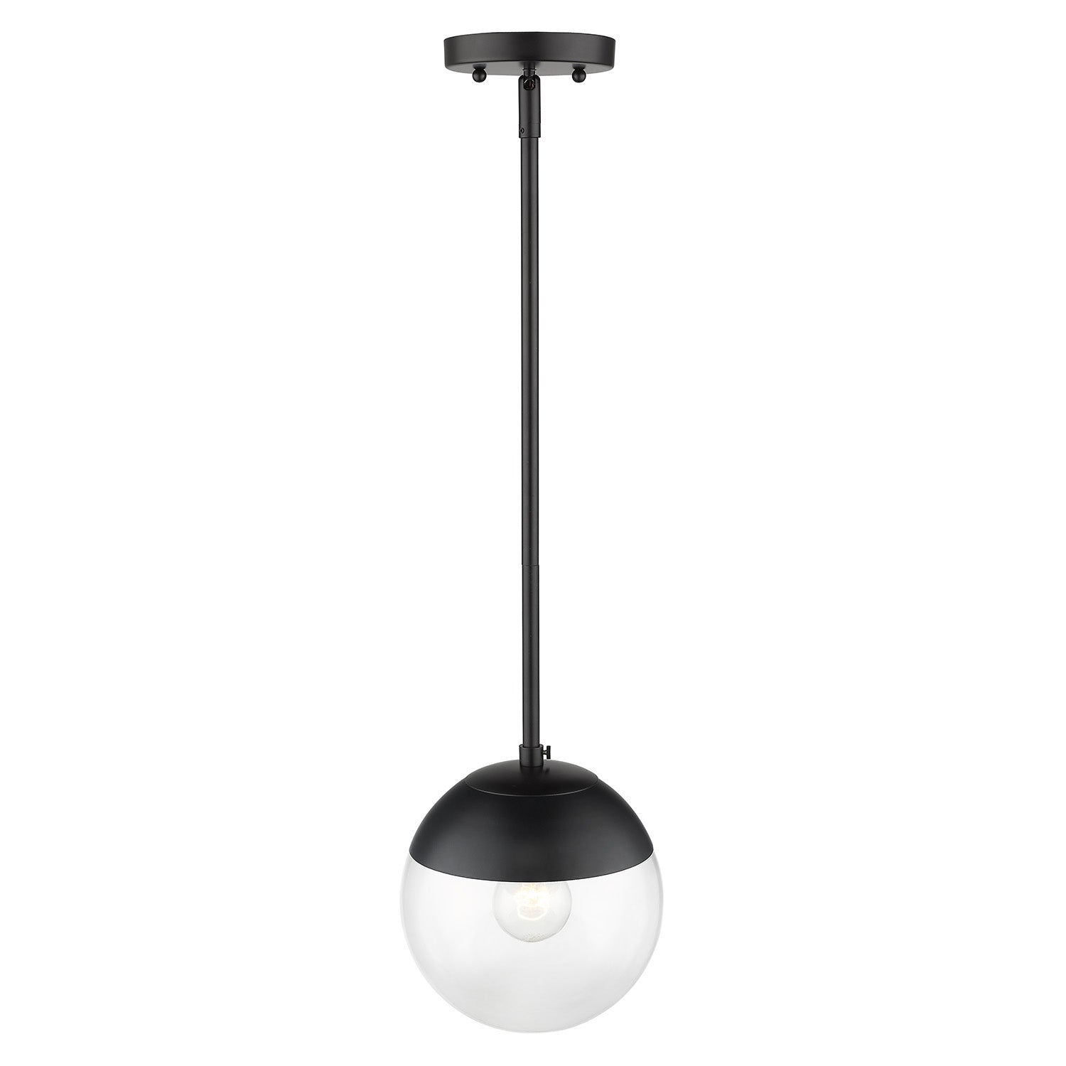 Golden Lighting Dixon 1-light Pendant in Matte Black and Clear Glass - - Golden Lighting