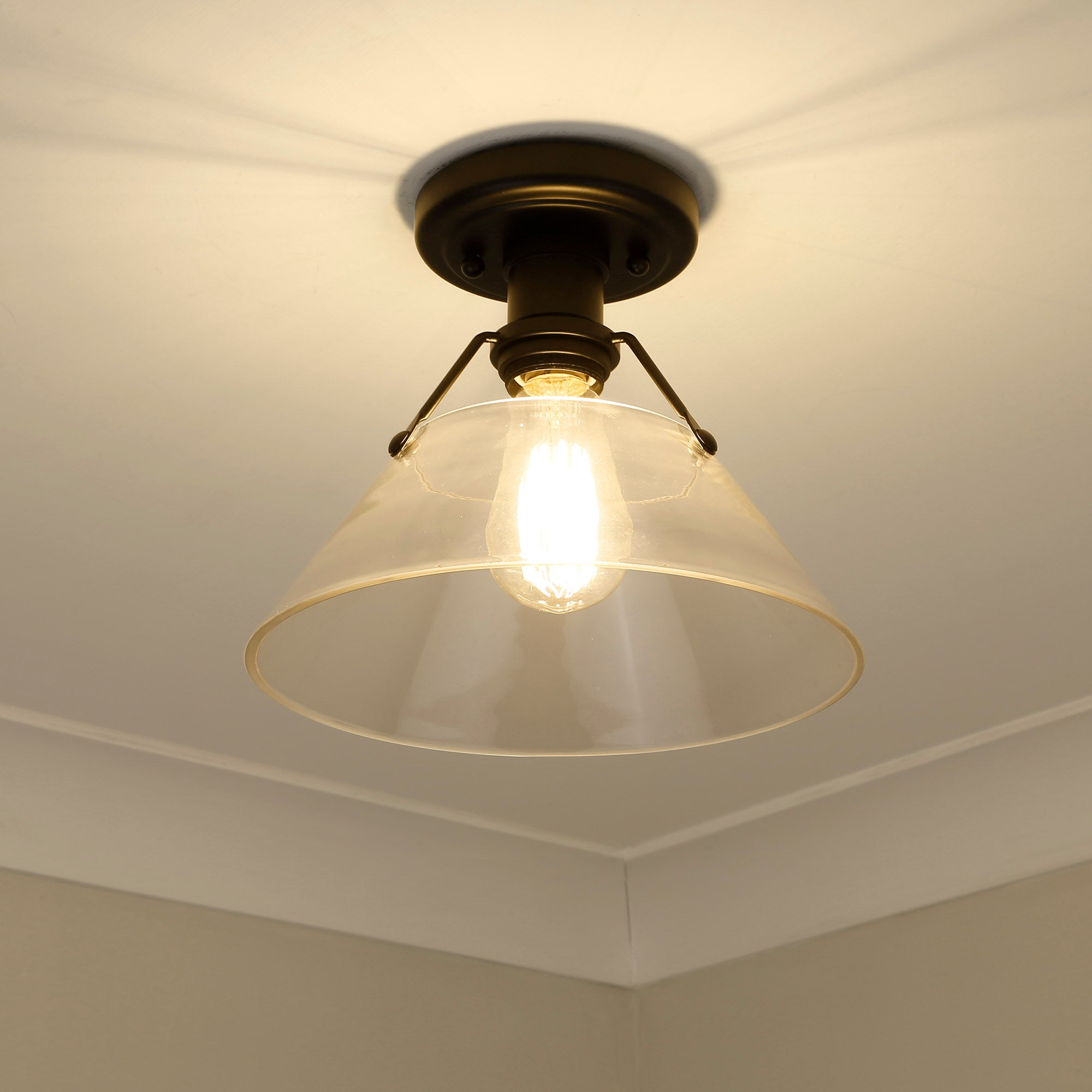 Yep by Golden Lighting Orwell 1-light Flush Mount in Matte Black and Clear Glass - - Golden Lighting