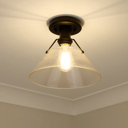 Yep by Golden Lighting Orwell 1-light Flush Mount in Matte Black and Clear Glass - - Golden Lighting