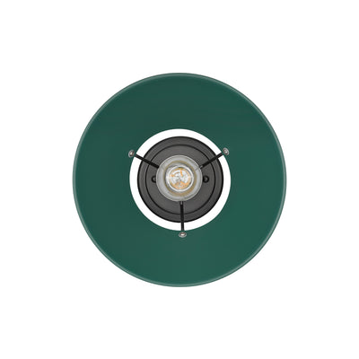 Yep by Golden Lighting Orwell 1-light Flush Mount in Matte Black and Pine Green shade - - Golden Lighting