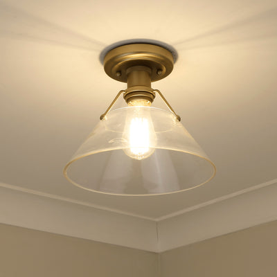 Yep by Golden Lighting Orwell 1-light Flush Mount in Brushed Champagne Brass and Clear Glass - - Golden Lighting