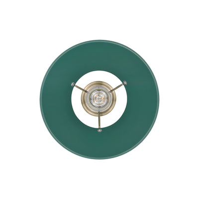 Yep by Golden Lighting Orwell 1-light 14in Pendant in Aged Brass and Pine Green shade - - Golden Lighting