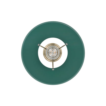 Yep by Golden Lighting Orwell 1-light 14in Pendant in Aged Brass and Pine Green shade - - Golden Lighting