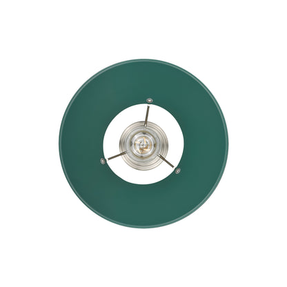 Orwell 10" Wide Medium Pendant in Pewter with Pine Green - Default Title - Golden Lighting